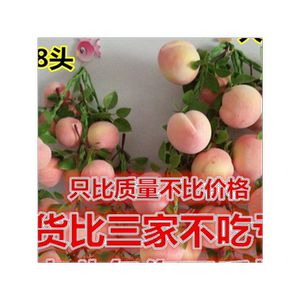仿真蔬菜水果串葡萄假玉米藤条假辣椒挂件饭店幼儿园圣诞节装饰品