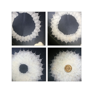 天然菩提叶脉 工艺贴画叶子材料书画用叶片 菩提叶标本书签押花画