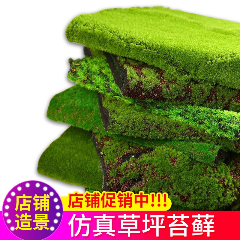 仿真草坪人工草皮塑料假草坪人造草坪植物墙墙面装饰苔藓青苔地毯