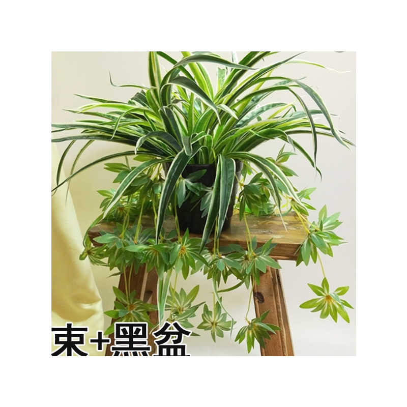 仿真吊兰花篮套装假绿萝叶植物盆栽壁挂店面阳台客厅垂吊悬挂装饰