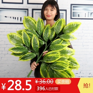 仿真树枝芒果叶商场装 饰植物室内大树工程造景园林绿化塑料树叶