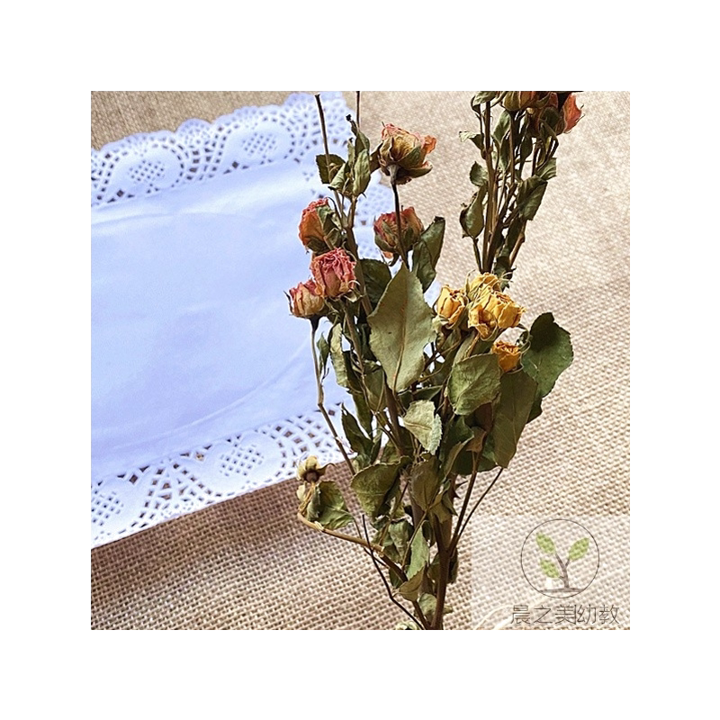 真花玫瑰泡泡麦穗兔尾巴草干花花束永生花组合集拍照搭配道具装饰