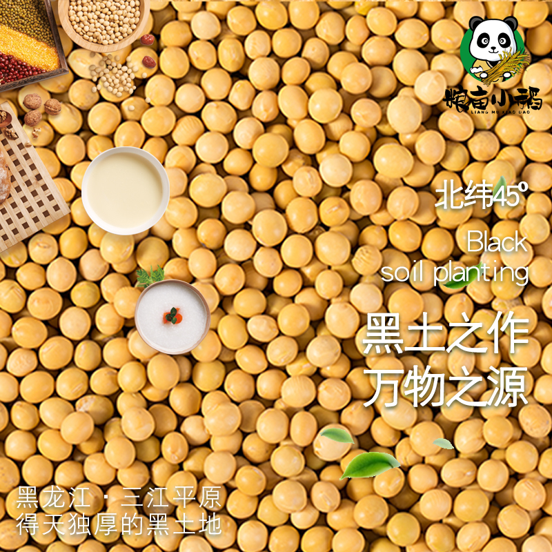 新款 东北黄豆打豆浆发豆芽专用新黄大豆2斤罐装1kg单品