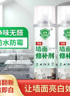 雷牌墙面修补漆污渍涂鸦遮盖自喷漆室内外墙漆翻新水性白色补墙漆