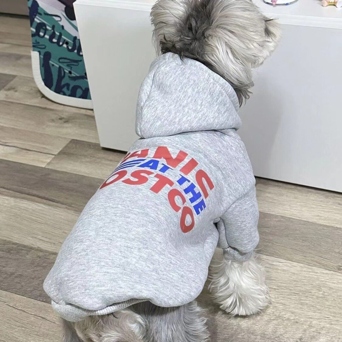 秋冬宠物韩版字母休闲潮流卫衣加绒保暖居家猫咪狗狗外套大型犬