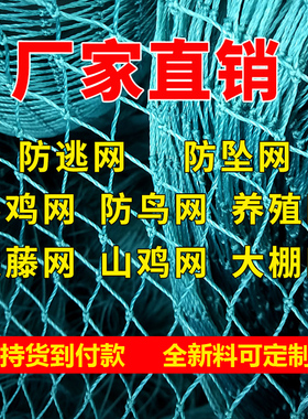 养鸡网尼龙网菜园围栏网鸡网养殖鱼大棚塘防鸟网拦鸡网隔离网天网