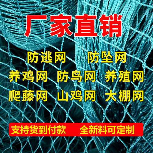 塑料养鸡网家禽养殖网拦网