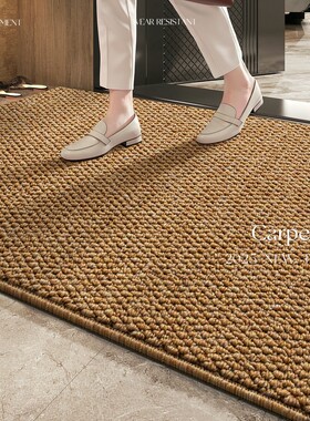 入户门地垫高级玄关家用室内新款门垫门口进门防滑可定制除尘脚垫