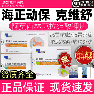 克维舒阿莫西林克拉维酸钾片宠物消炎药狗狗猫咪泌尿感冒海正动保
