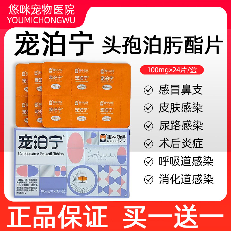 宠泊宁头孢泊肟酯片宠物狗狗猫咪呼吸道感染泌尿感染感冒蓄脓炎症