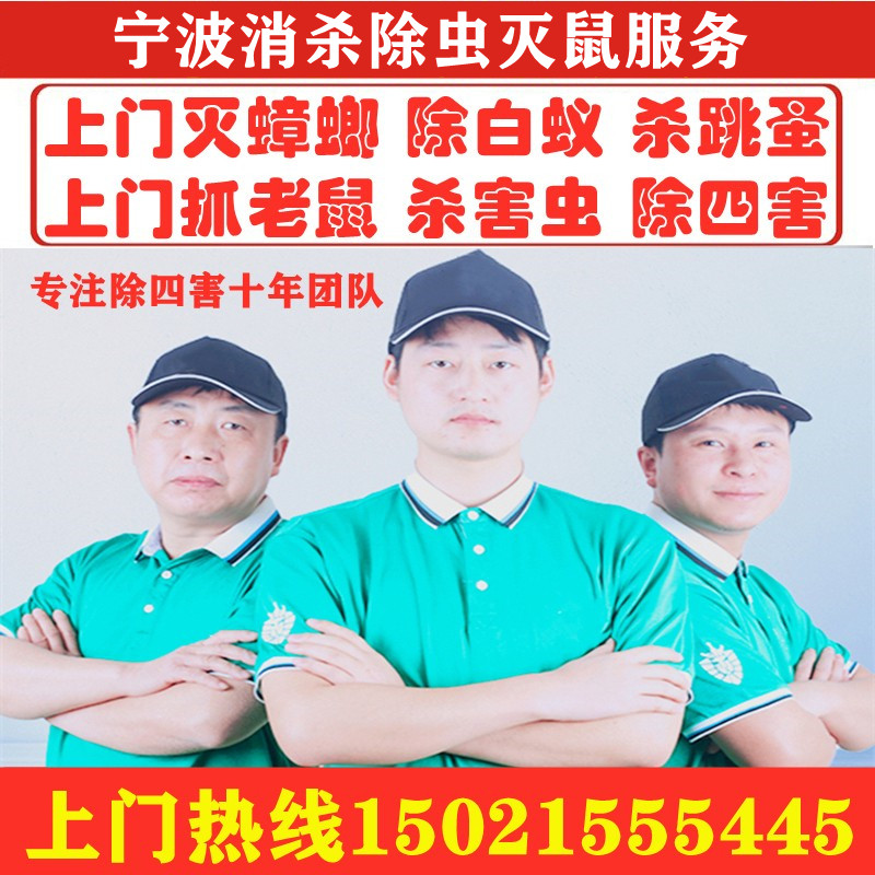 宁波灭鼠公司上门抓老鼠除鼠