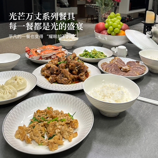 碗家用2025高颜值景德镇碗碟套装 碗盘乔迁送礼 家用骨瓷餐具套装