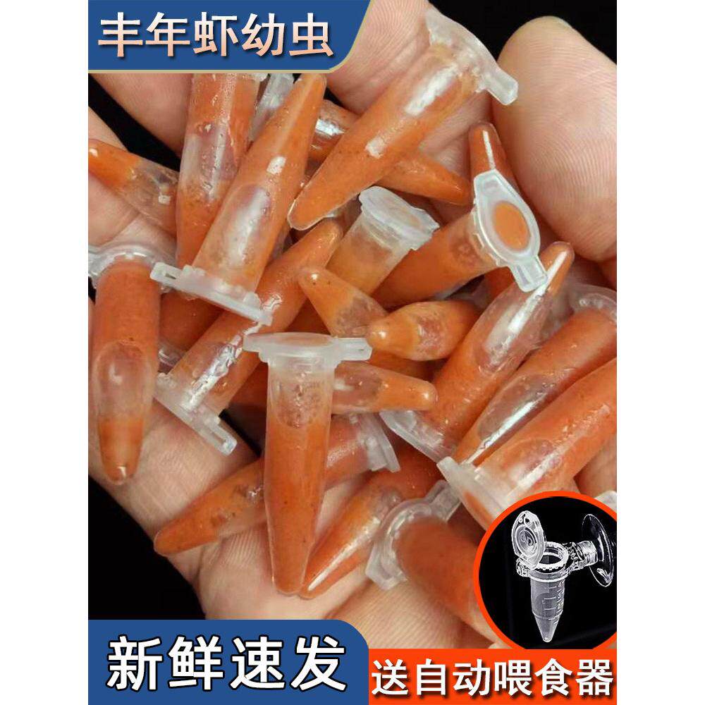 已孵化冰冻丰年虾卵幼虫热带鱼鱼食幼鱼开口饲料鱼苗水母超细卵