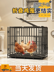 鸡笼子家用室内养鸡笼自动清粪室外鸭笼子特大号鸽子鸡舍鸡窝笼子