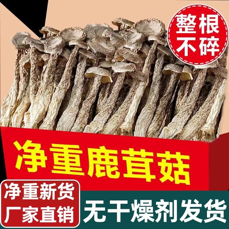 鹿茸菇干货500g云南特产脆脆菇菌包材料营养煲汤佳品50g
