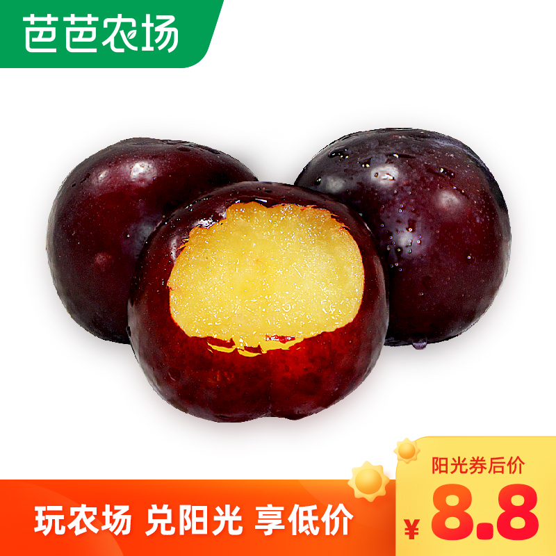 【聚小美】黑布林李子 新鲜水果当季5斤李子应季水果整箱包邮批发