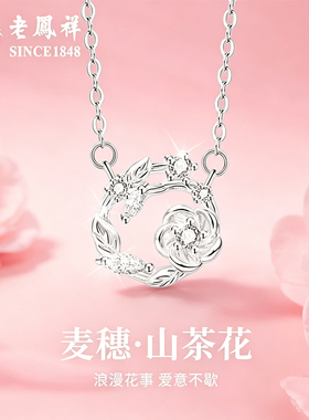 老凤祥足银项链送女友