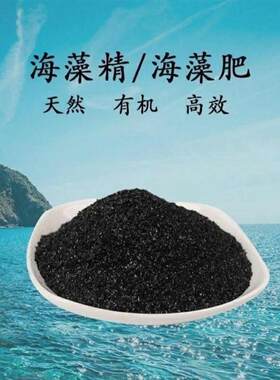 海藻精藻源低温酶解水溶性海藻精原粉片状通用增效叶面肥袋装包邮