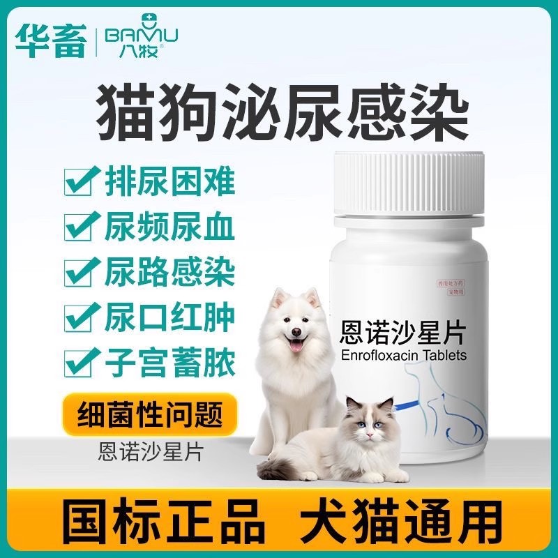 宠物恩诺沙星片猫咪尿血尿闭尿路感染利尿通狗狗泌尿系统药消炎药