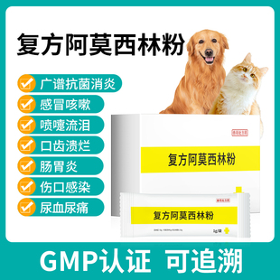 猫咪狗狗感冒药流鼻涕打喷嚏消炎幼猫犬专用阿莫西林片克拉维酸钾