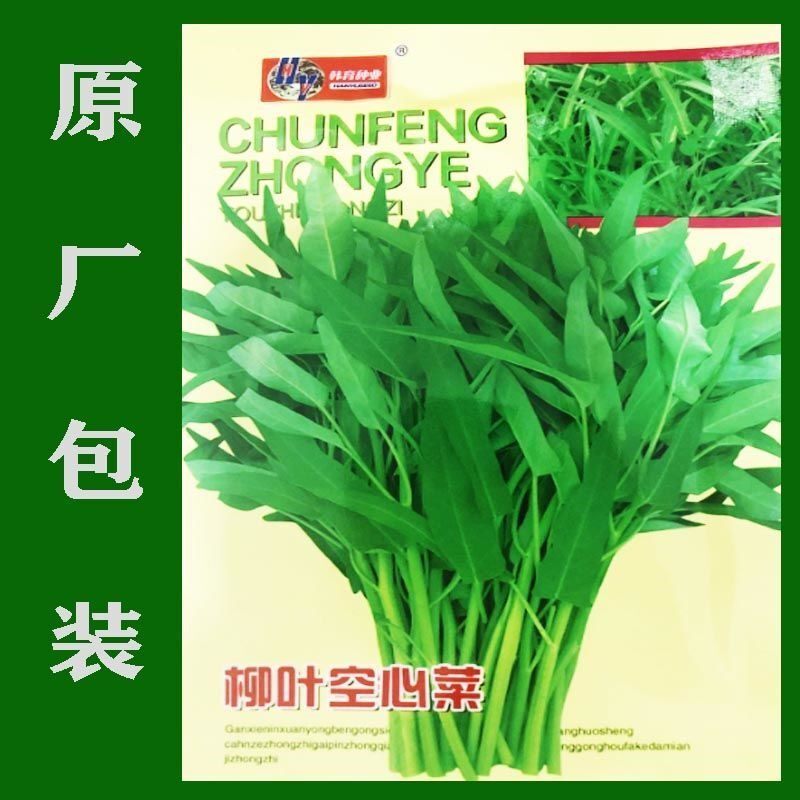 竹叶空心菜种子种籽苗四季菜苗带根大叶柳叶蔬菜菜籽水孑籽种青菜 佳瑶的花园 淘优券