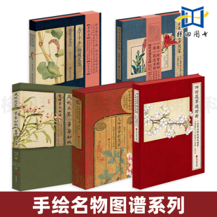 几回清梦到花前 四时花草逐时新 花开未觉岁月深 美了千年 绘本红楼诗经图谱植物手绘 风吹兰芷芳华如故 二十四节气 楚辞草木画谱