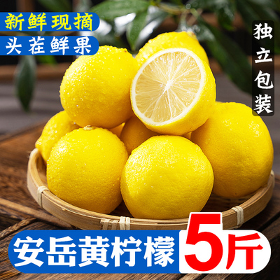 四川安岳黄柠檬新鲜现摘皮薄多汁
