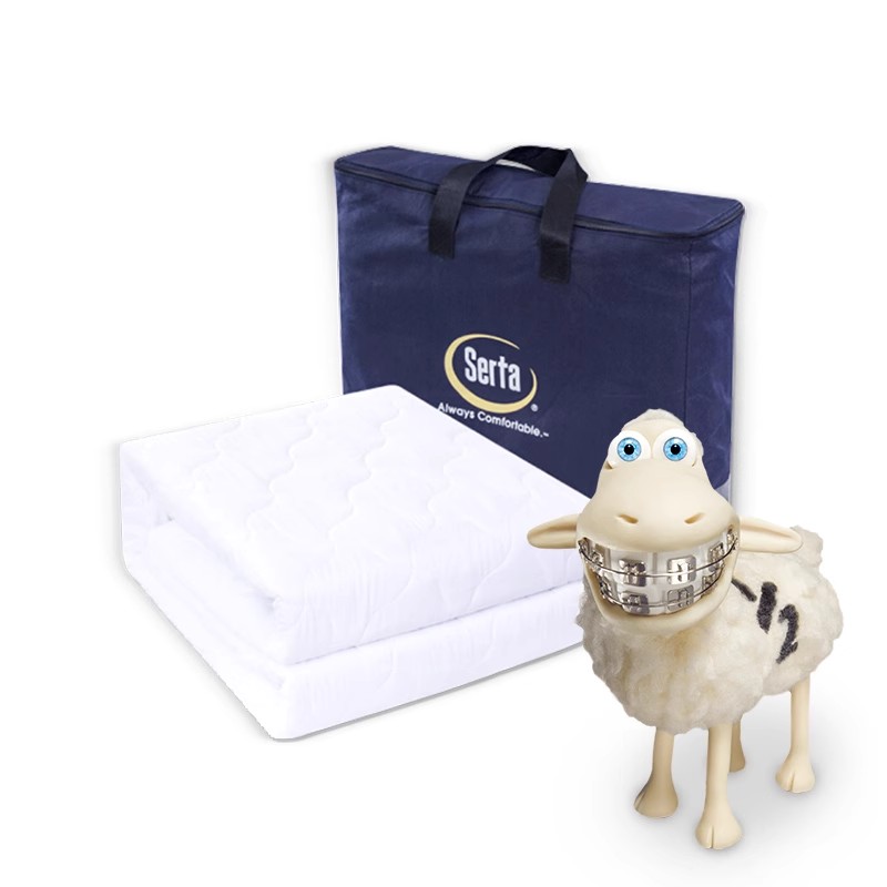 品牌高级床垫保护垫1.5/1.8米