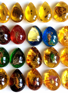 昆虫标本琥珀蝎子蜘蛛项链蝴蝶吊坠知了虫珀原石儿童礼物小学课本