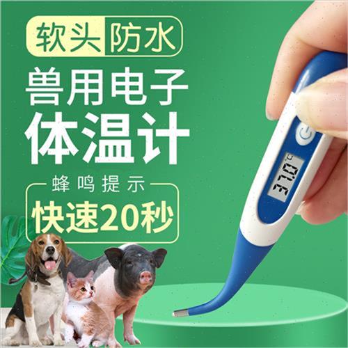 电子体温计宠物猫狗猪羊养殖兽用测体温表肛温度计动物 宠物/宠物食品及用品 体温计 原图主图