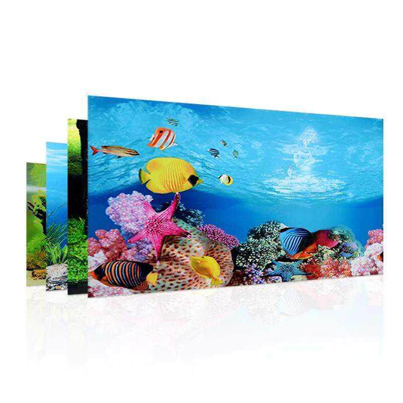 金鱼缸长方形小型布景玻璃贴纸观赏鱼缸背景纸海景装饰品迷你壁画图片