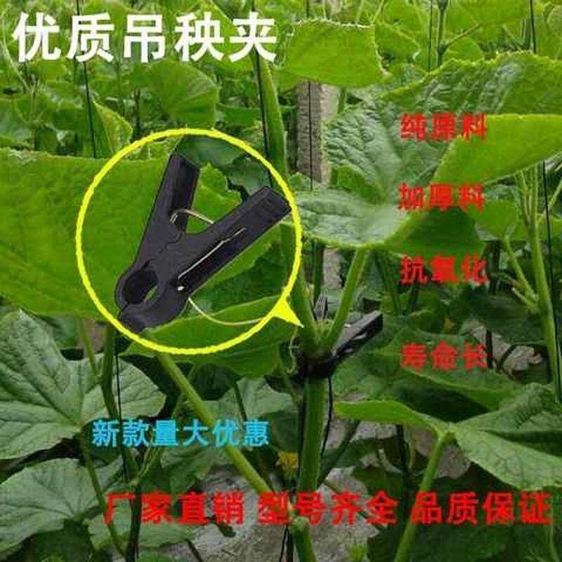 大棚夹黄瓜番茄西红柿西葫芦吊秧夹农用塑料夹子绑蔓夹2020年新款