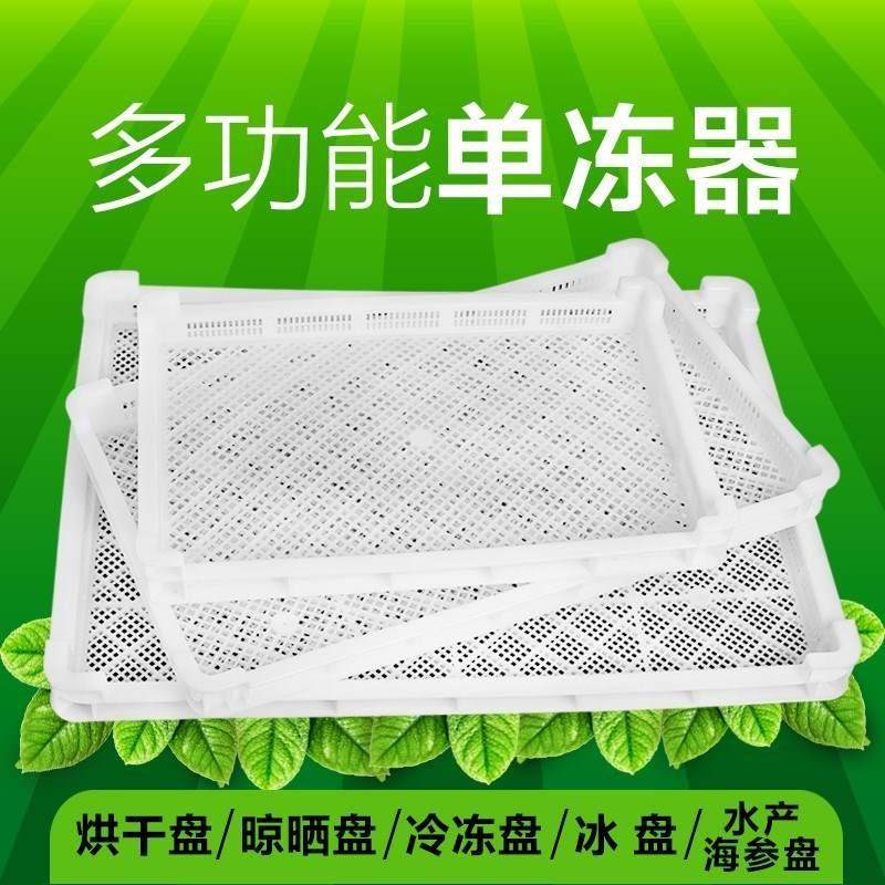 塑料单冻器大枣盘晾晒筐海参盘水产枸杞烘干冷冻盘冷库用食品托盘 收纳整理 桌面收纳盒 原图主图