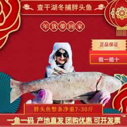 查干湖胖头鱼年货礼盒冬捕现发7斤-30斤整条正品防伪溯源渔场直发