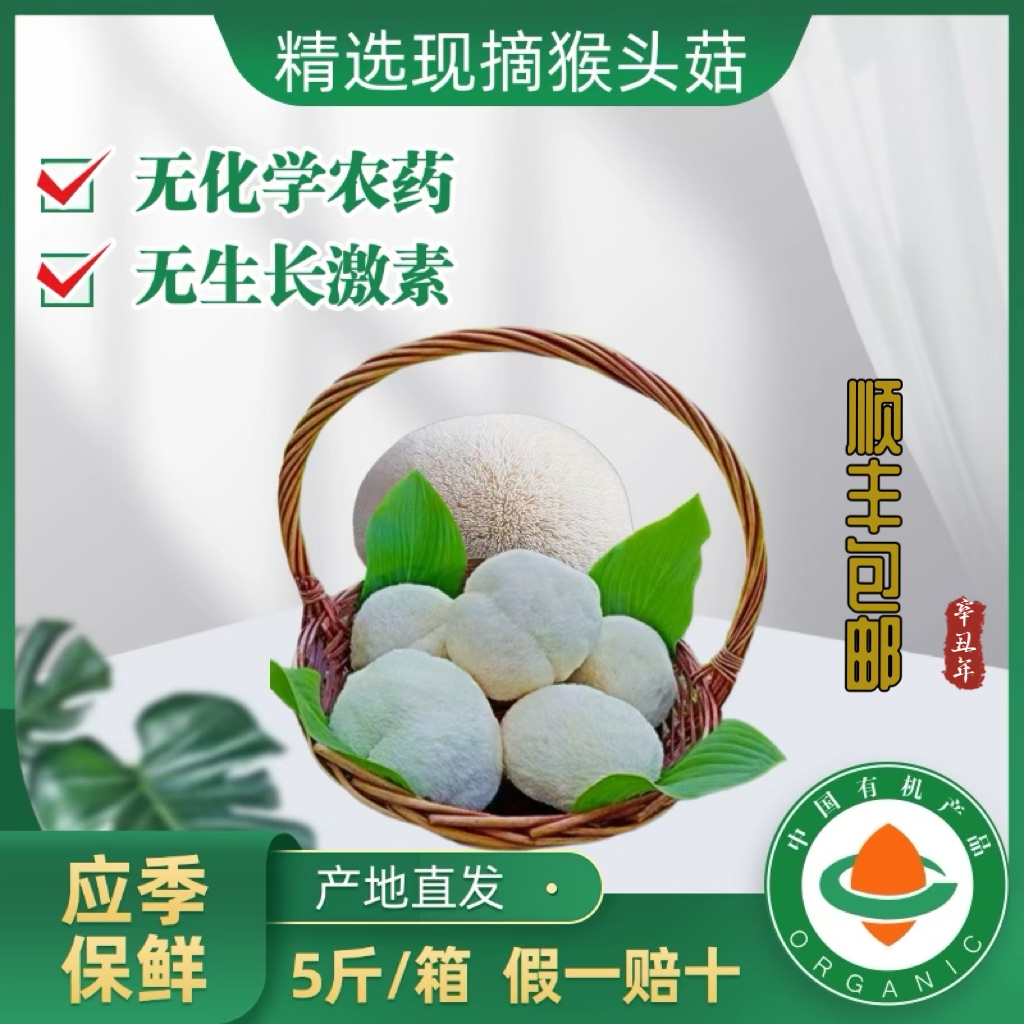 东北特产新鲜猴头菇现摘现发顺丰包邮山珍美食送礼佳品滋补佳品