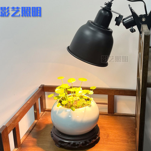 UVAUVB保温灯万向夹子灯罩