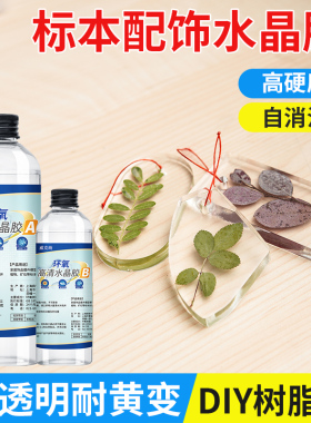 树叶昆虫标本制作高清通透