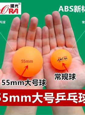 世纪曙光大号55mm乒乓球DIY手工ABS新材料宠物玩具新手训练慢速球