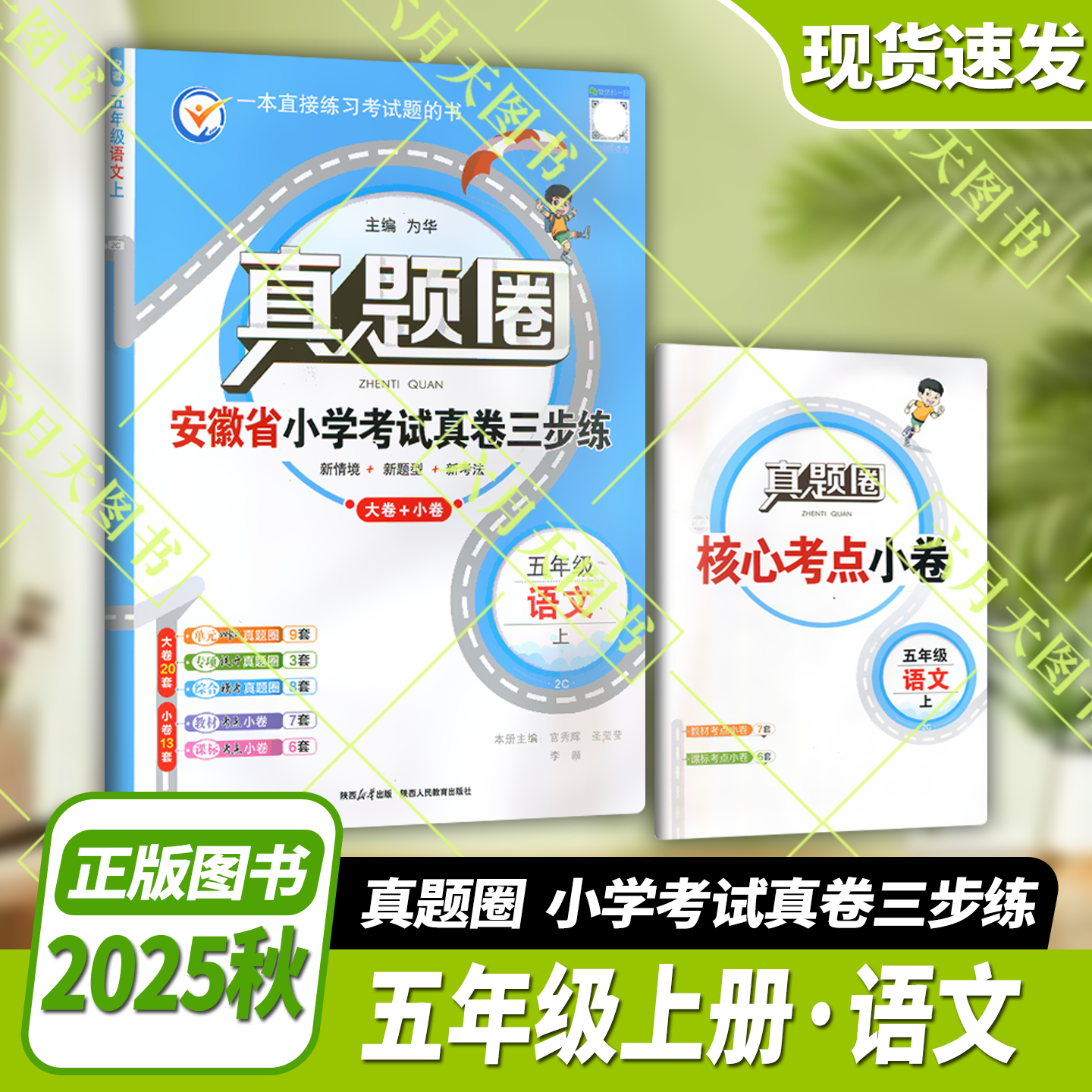 2025秋版真题安徽省小学考试