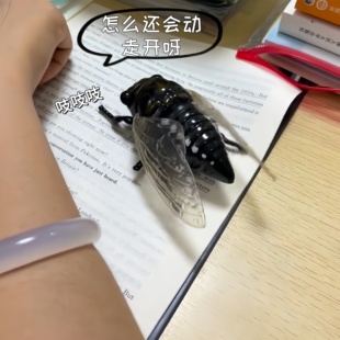 会动爬行模拟叫声知了模型夜光翅膀发条玩具不用电仿真发条蝉儿童