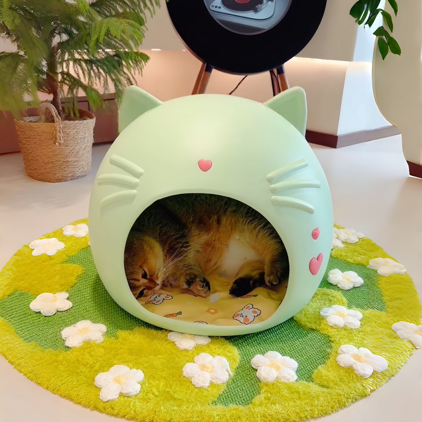 半封闭猫窝卡通防水四季通用安全感夏天不塌陷新式优质大号猫屋