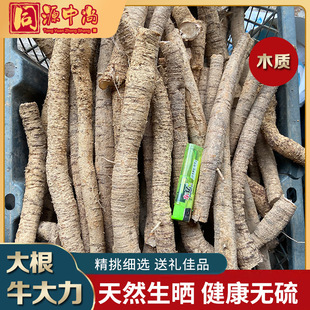 中尚 新鲜牛大力大根 汤料牛大力金钟根农家新鲜现挖莲藕猪脚根