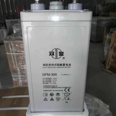 双登蓄电池vah直流屏UPS/基站发电厂储能密封式GFM-