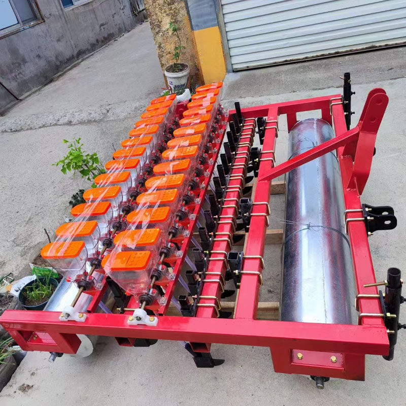 小青菜空心菜韭菜小粒蔬菜