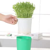 豆苗托盘架厨房阳台育苗盘豆芽机豆芽发芽盆四季豆芽菜无土栽培