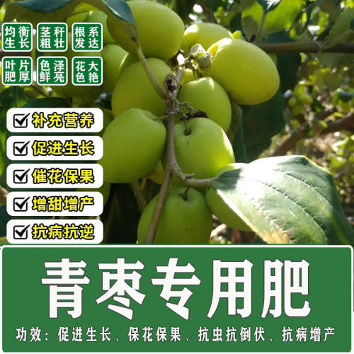 青枣专用肥料价复合肥果树用台湾枣子四季生根壮苗农用高产肥