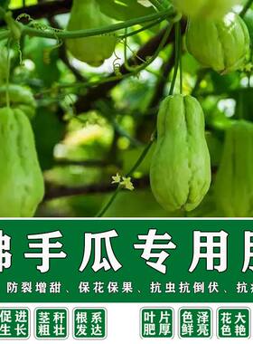 佛手瓜专用肥料扶手果实膨大速效蔬菜瓜果高产壮苗高钾增产平衡肥