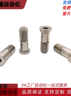 BGP BGPM 6 8 10-9 11 13 14 17-L20 L25 L30 L40  轴承止动销