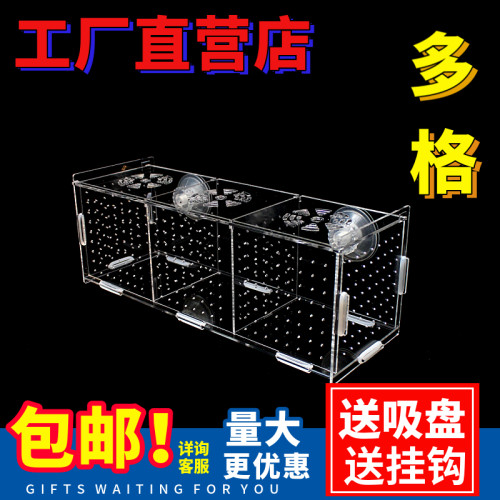 水族金波子多格带盖包邮繁殖盒