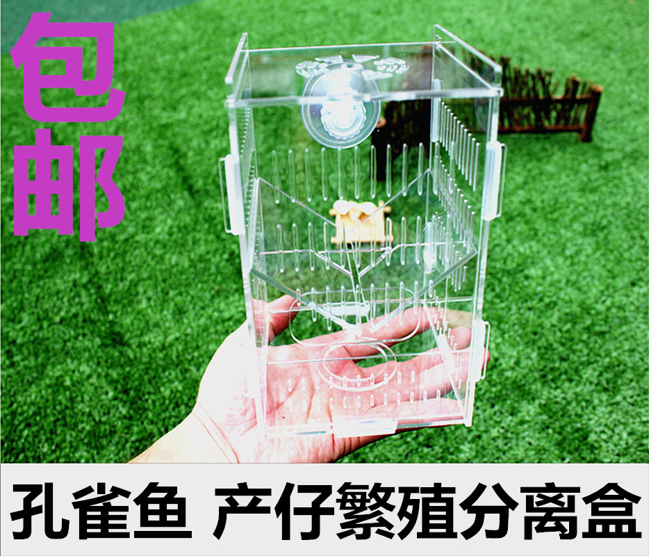 鱼缸隔离盒孔雀鱼繁殖产仔亚克力其它水族用具设备
